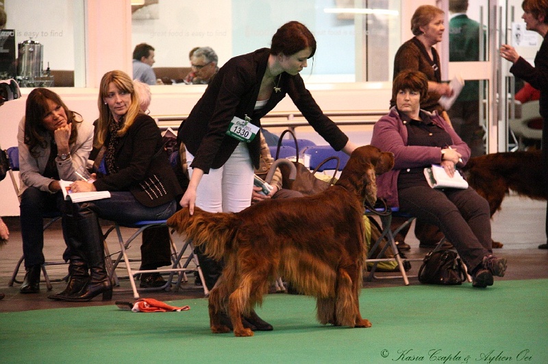 Crufts2011_2 127.jpg